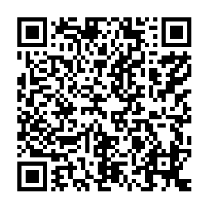 还是因为他的所在才导致了自己现在有点尴尬的提前要和天道摊牌二维码生成