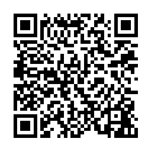 还是因为玲珑仙塔所在的位置在魔幻禁地的深处二维码生成