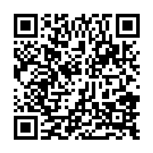 还是将在风田财阀最信任的首席律师和田中正叫了过来二维码生成