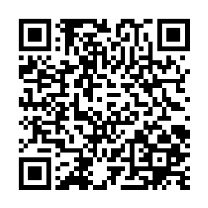 还是没尝够呢……再多抓两条我一定就去另一个池塘……二维码生成