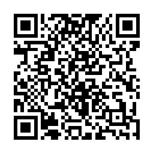 还是渡劫中期的龙族和一个连渡劫都没有的人类比拼力量二维码生成