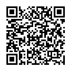 还是老老实实的将咱们方家的血脉之力好好修炼吧二维码生成