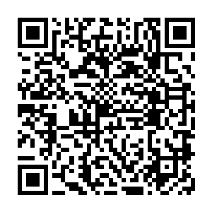 还是觉得金钱豹这种野生生物还是在野外生存的更合适一些……可也就是那一次二维码生成