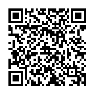 还是说他金不凡已经强大到可以无视他们李家的地步了二维码生成