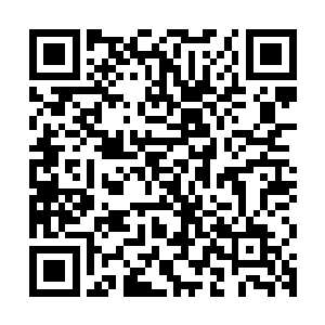 还是赛尔内斯战区的那些魔族和隐藏在人族之中的三眼会的杂碎二维码生成