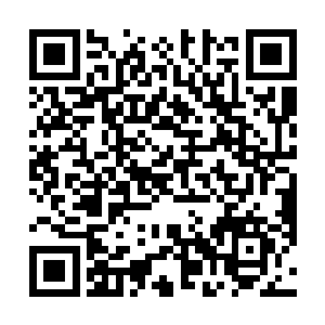还有一只单独置放的储物戒里发现了数百万颗的仙元丹二维码生成