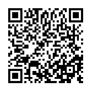 还有一点就是泰勒昨天的时候系统的又给自己做了一遍检查二维码生成