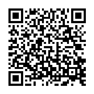 还有二十多位使节和五十多位武功高强的护卫陪我一起去的呢二维码生成