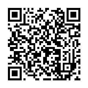 还有代表教宗意志前来照看的英华殿大主教茅秋雨二维码生成