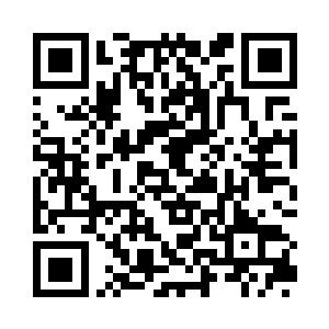 还有像星星一样亮晶晶的璀璨纯白色纤细灵草二维码生成