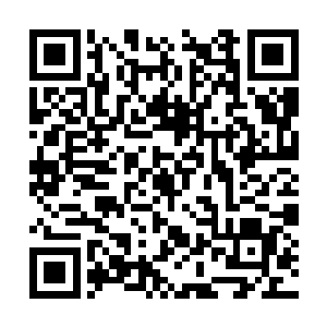 还有几位显然被某些东西束缚了不得不跟随的修士二维码生成