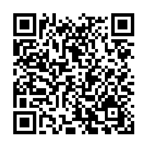 还有天界的各个种族族长和地界的所有星域领主们二维码生成