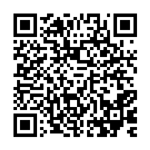 还有心思尽量避免母子互相仇视……阿九不是轻易被感动的人二维码生成