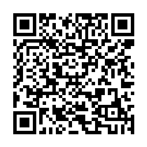 还有某个急切的盼着爱妻回归的男子正在咬牙切齿二维码生成