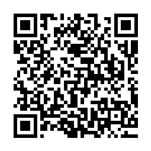 还有的会让他们一起亲手杀死自己部族的首领或大巫或重要人物二维码生成