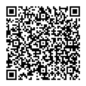 还有的直接连接都懒得接就直接挂掉了……一直到翻出了一个他觉得比较靠谱的小弟的电话打过去二维码生成