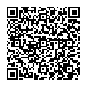 还有纯粹灵力构成的攻击手法在遇到那些柔弱的碧绿丝涤的时候好像沉入了美人怀二维码生成