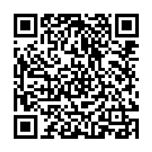 还没有任何一位城主府的人怀疑他们家少主被假冒了二维码生成
