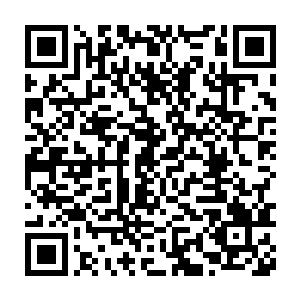 还没来得及站起来的蚊血煞也再次被出现在他身后的皇给击飞了出去二维码生成