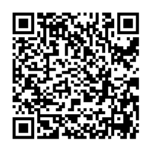 还没来得及飞起耳边就听到怜玫冷冷的声音和毫不掩饰的威压震在原地二维码生成