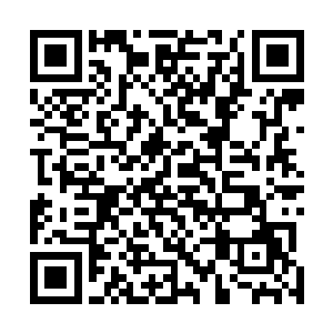 还真不是他们这刚突破到人神境的小武者可以承受得起的二维码生成