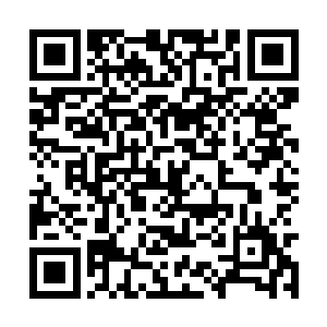 还真的有一个白白的像中指一样长的东西黏在架子二维码生成