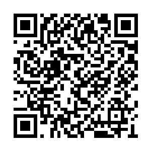 还给我献了那么多的血……爸爸都已经跟我说了二维码生成