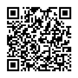 还要护持着这么多手无缚鸡之力的文臣们的安全二维码生成