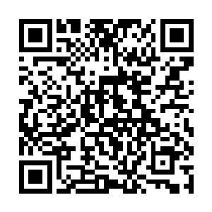 还请皇上念在在下思妻之情的份上让在下见一面瞳儿二维码生成