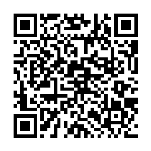 还需要半个小时才能把俊俏师姐鬼魂上的鬼力给完全消散二维码生成