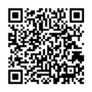 还需要找到另外三样属性的基石才算真正完成农场的真正升级二维码生成