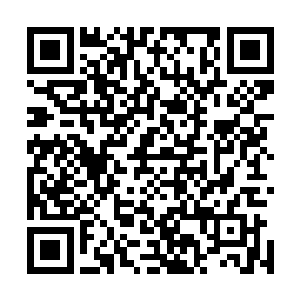 这――――我身体内排出的污垢竟然蕴含有充裕的灵气不说二维码生成