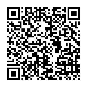 这……这……我也想不通啊……投石机怎么可能……怎么可能……二维码生成