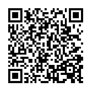 这……这是一张先天仙宝……而且是……中品的……二维码生成