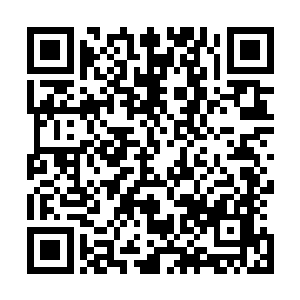 这……这是宴维一厢情愿……我也不知道宴维会这样做……二维码生成