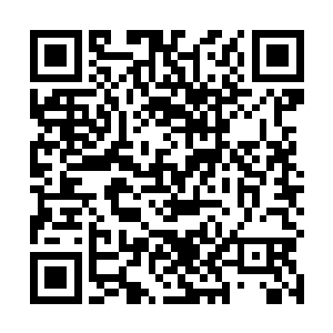 这……难道王院长还怀疑我们跟曾副院长是一伙的不成二维码生成