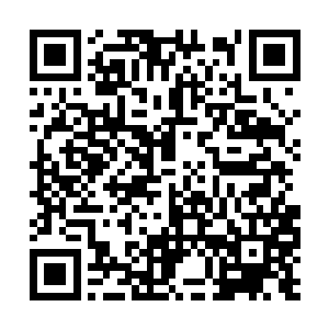 这一做法的代价就是二虎再度感受到了巨大的痛苦二维码生成