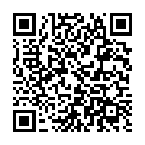 这一击的威力绝对已经达到了普通的大道境界高手的一击了二维码生成