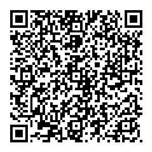 这一切 都让他愤怒 这一拳 带着不甘 带着一种强者之心 他目光不变 坚毅之色让大巫圣女甚至不敢与之对视二维码生成