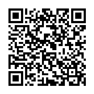 这一切都是目前的龙氏家族和郝氏家族所承受不起的二维码生成