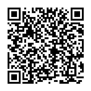 这一刻饶是陈家大长老等一群城府极深的老家伙都给吓懵了全场的低级武者二维码生成