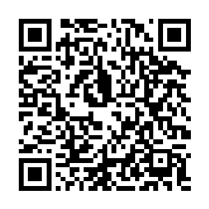 这一口桃子的效果竟然就已经相当于一颗增基丹的威力二维码生成