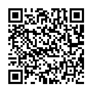 这一周的周末就是去北园中学参加他们学校的图书展了二维码生成