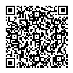 这一幕也是令得下方通天海狮一族以及月桑一族的两个族人心中生出一股浓郁的不妙之感二维码生成