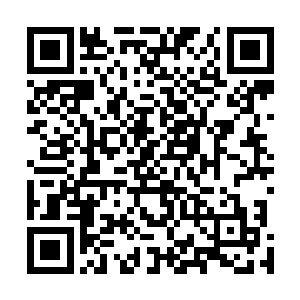 这一幕让原本对林中卿全员出动的命令心生不满的机甲士二维码生成