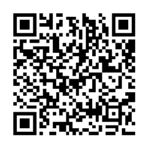 这一幕让在城池瞭望到这一幕的修行者深吸了凉气二维码生成