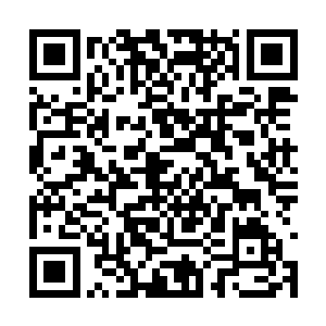 这一座桥她整整用了三个月的时间才完全闯了过去二维码生成