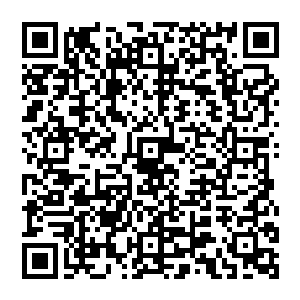 这一手精妙－一般面对暴突的时候都选择闪避其实同时突进反而让对方的攻击力无法到达最高二维码生成