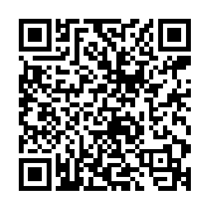 这一批的芯片生产业务星空集团将外包给在座的众位芯片厂商二维码生成