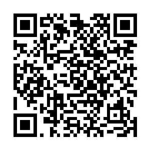 这一次万灵之森之行对他们来说已经算是超额完成了任务二维码生成